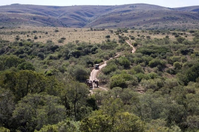 Addo Elephant Park, Eastern Cape (South African Tourism)  [flickr.com]  CC BY 
Infos zur Lizenz unter 'Bildquellennachweis'