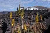 Vorschau: Beste Reisezeit Lanzarote